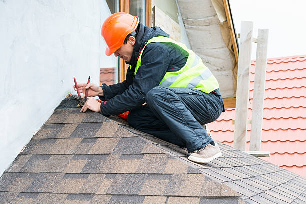 Best Residential Roofing Contractor  in Albany, GA