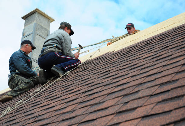 Best Residential Roofing Contractor  in Albany, GA